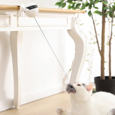 Electronic Motion Cat Toy