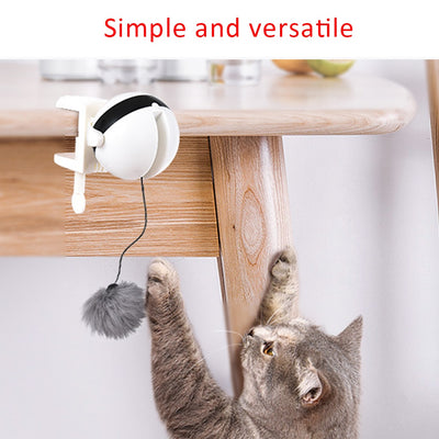 Electronic Motion Cat Toy