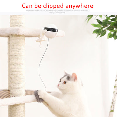 Electronic Motion Cat Toy