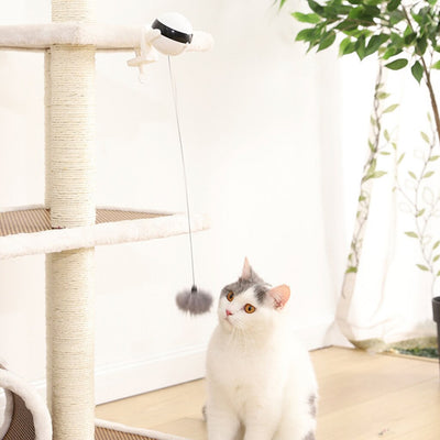 Electronic Motion Cat Toy