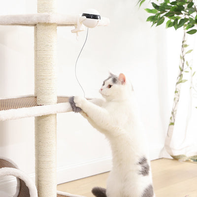 Electronic Motion Cat Toy