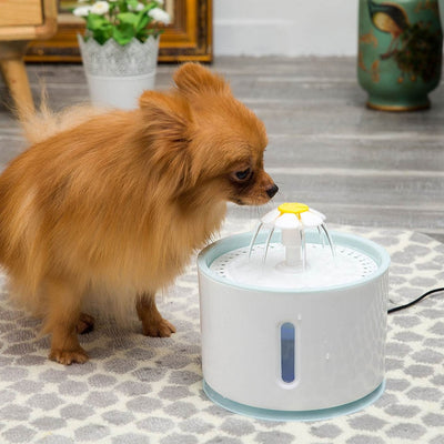 LED Electric Automatic Pet Fountain Drinking Water Dispenser
