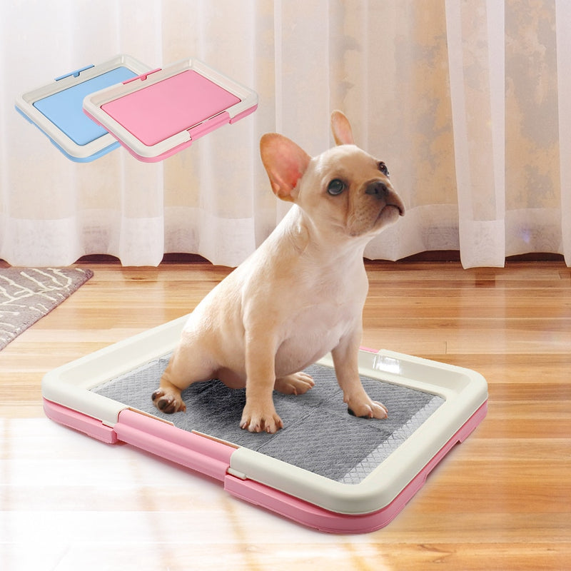 Potty Patch