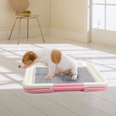 Potty Patch