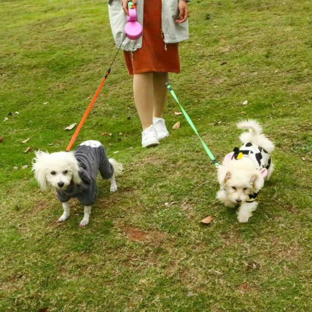 DOG LEASH FOR TWO