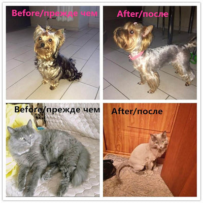Professional Rechargeable Pet Hair Trimmer