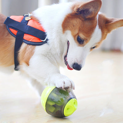 Interactive IQ Dog Treat Dispenser