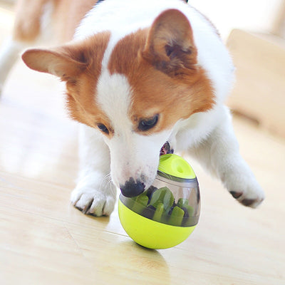 Interactive IQ Dog Treat Dispenser