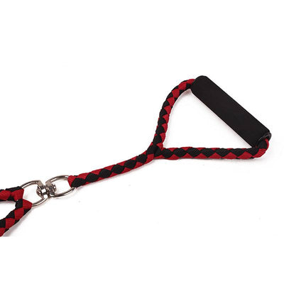 Double Dog Power Leash