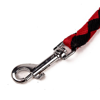 Double Dog Power Leash