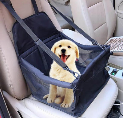 Cats & Dogs Travel Car Seat