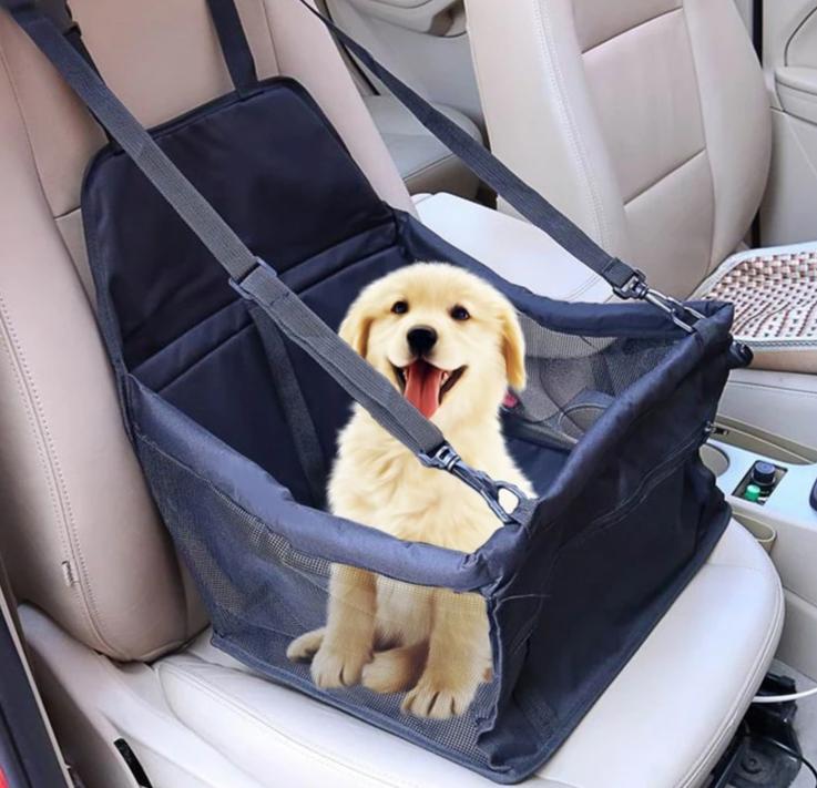 Cats & Dogs Travel Car Seat