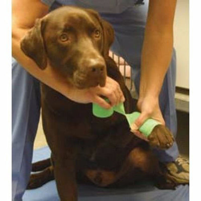 Waterproof Elastic Bandage