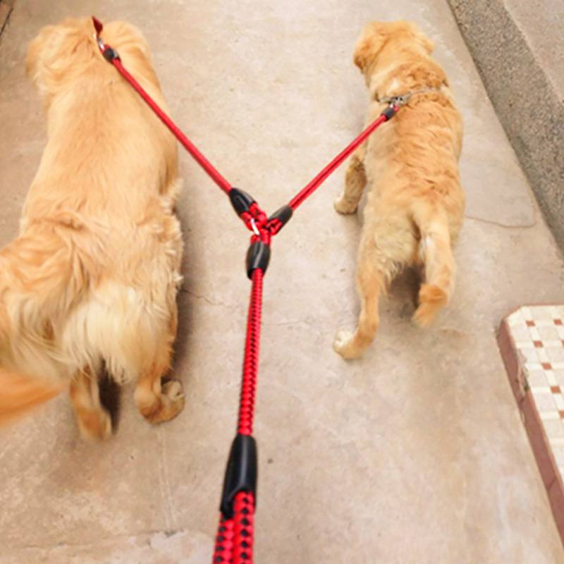 Double Dog Power Leash