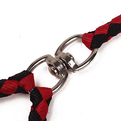 Double Dog Power Leash