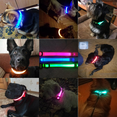 Rechargeable Led Dog Collar