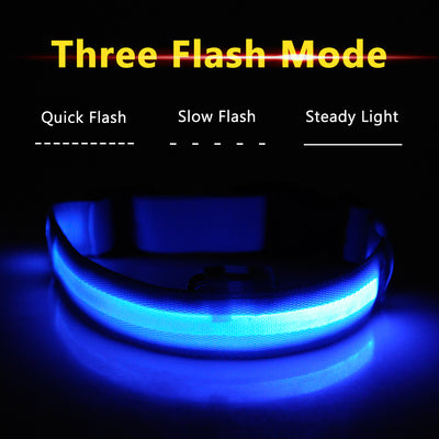 Rechargeable Led Dog Collar