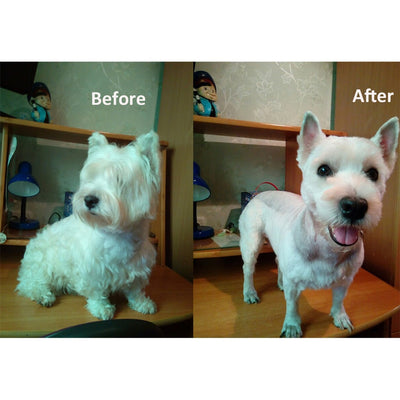 Professional Rechargeable Pet Hair Trimmer