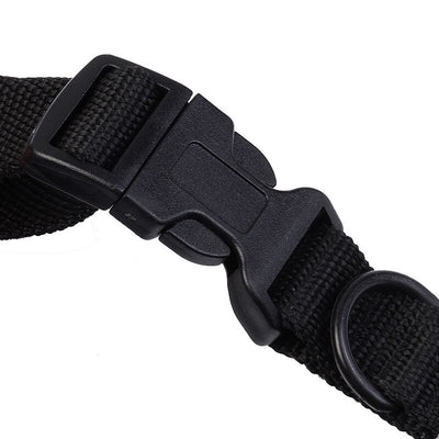 Electric Dog Training Collar