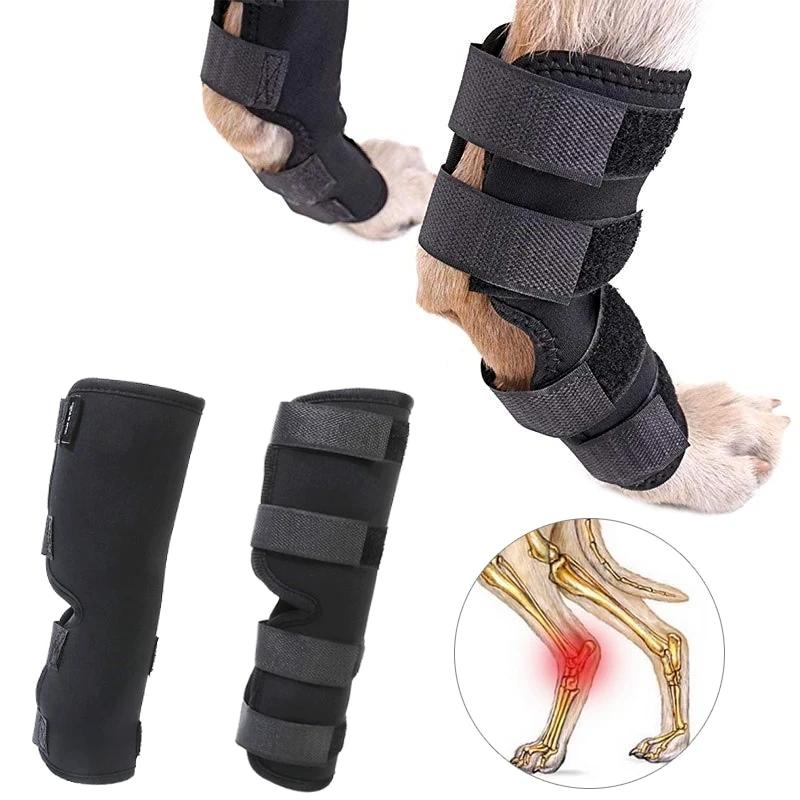 Dog Brace Straps