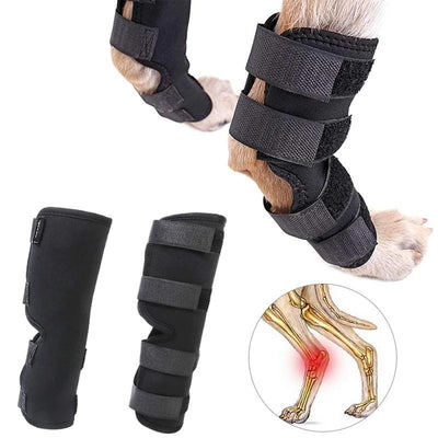 Dog Brace Straps