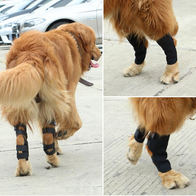 Dog Brace Straps