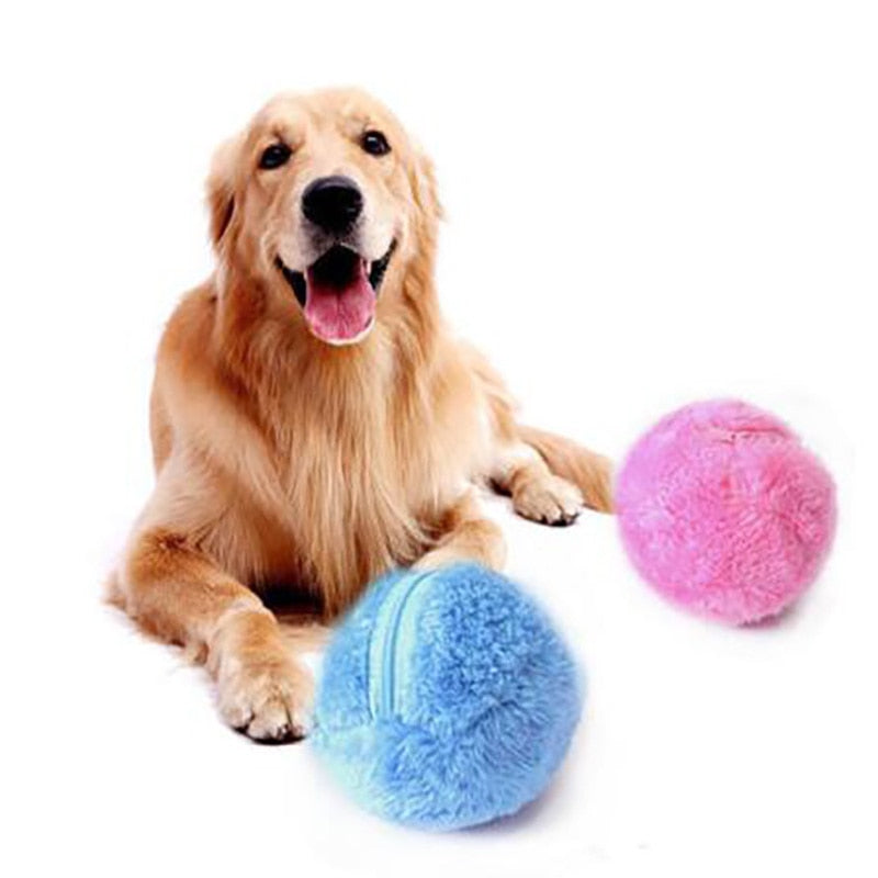 Magic Roller Ball