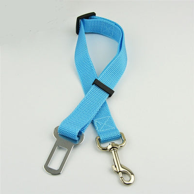 Dog Seat Belt