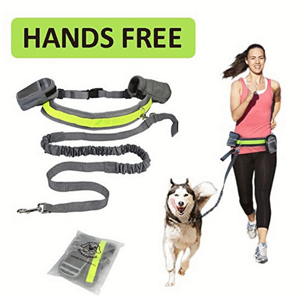 Hands Free Dog Leash for Running