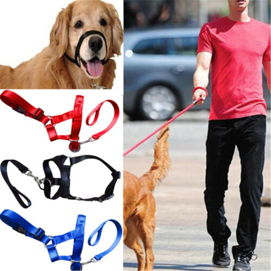 Halter Head Dog Collar