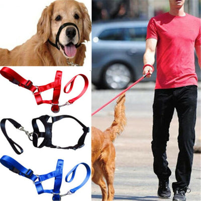 Halter Head Dog Collar