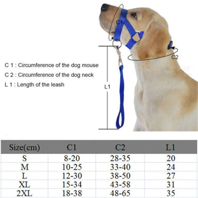 Halter Head Dog Collar