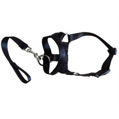 Halter Head Dog Collar