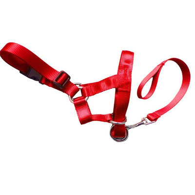 Halter Head Dog Collar