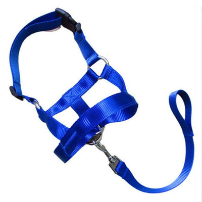 Halter Head Dog Collar